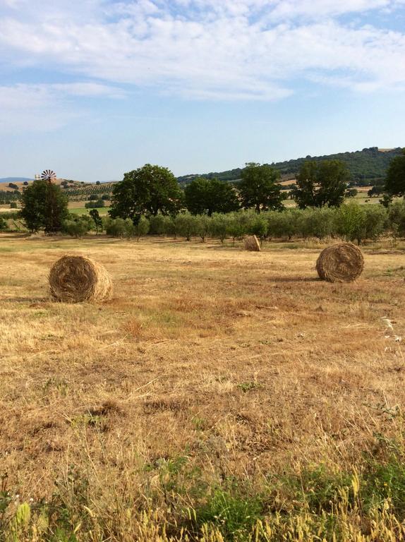 At Home In Maremma Istia dʼOmbrone Buitenkant foto