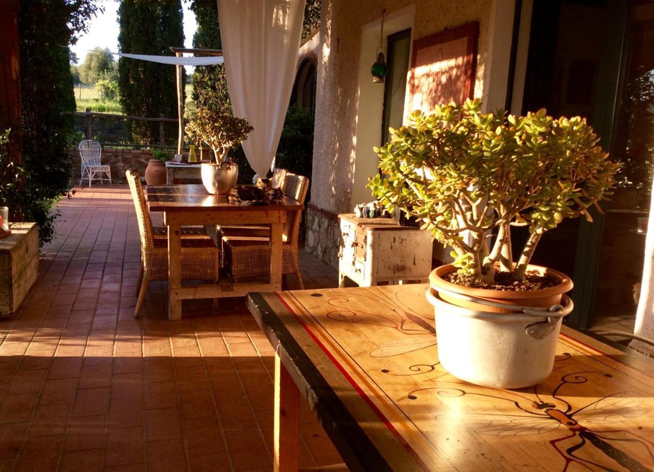 At Home In Maremma Istia dʼOmbrone Buitenkant foto